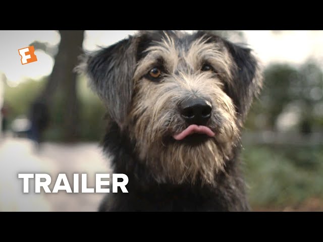 Lady and the Tramp Trailer #2 (2019) | Movieclips Trailers