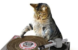 MAKE YOUR CAT A DJ — and more! LÜT #18
