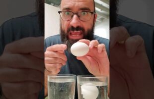 Eggshell Magic